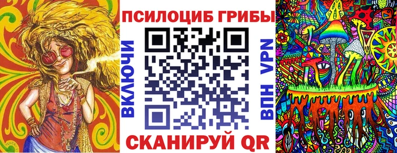 цены наркотик  Александров  Галлюциногенные грибы MAGIC MUSHROOMS 